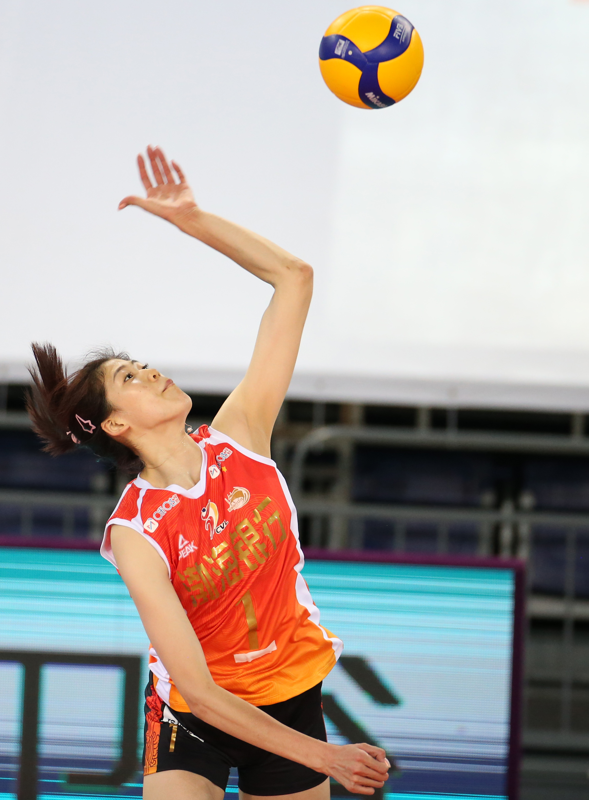 包含排球球员突破自我，表现堪称完美的词条