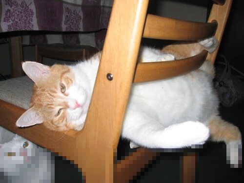 时间裂缝，当雷霆击溃新疆之夜，保罗正跨越半球接管比赛