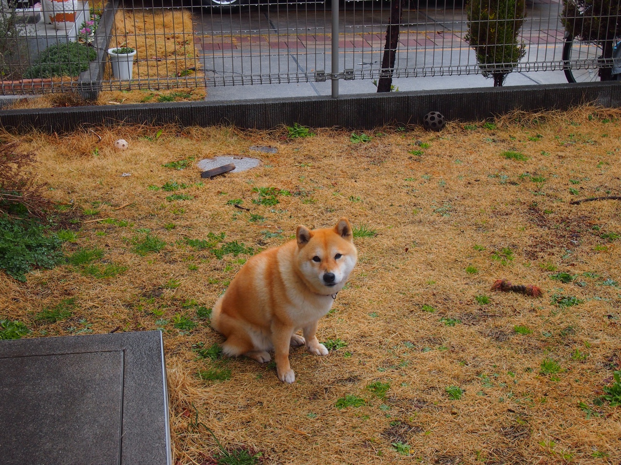 西甲国家德比之夜，战靴与权杖，他为伯纳乌立下唯一尺度