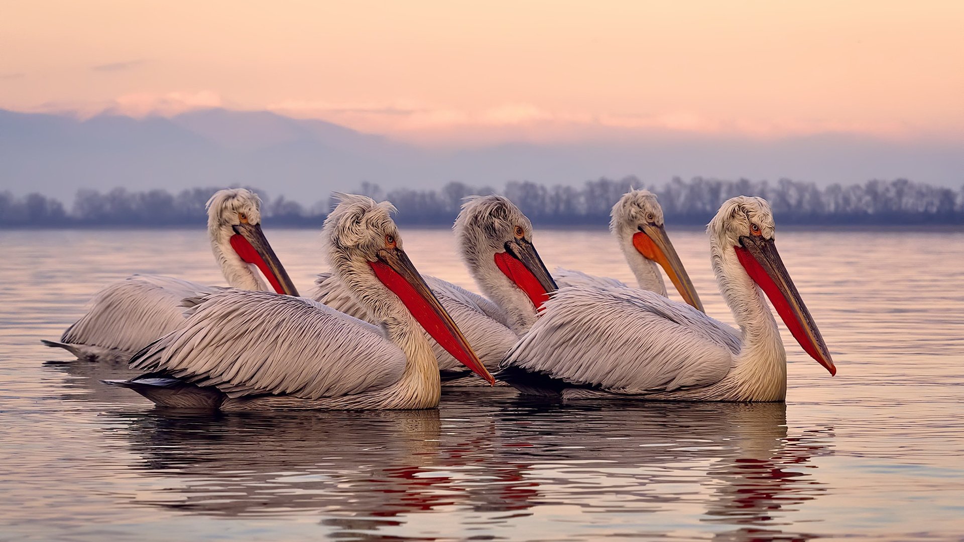 绿茵地缘学，当德甲争冠战映射中东棋局
