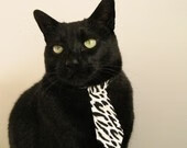 天使之翼与高地风暴,迪马利亚爆发与苏格兰淘汰澳大利亚的双重奏