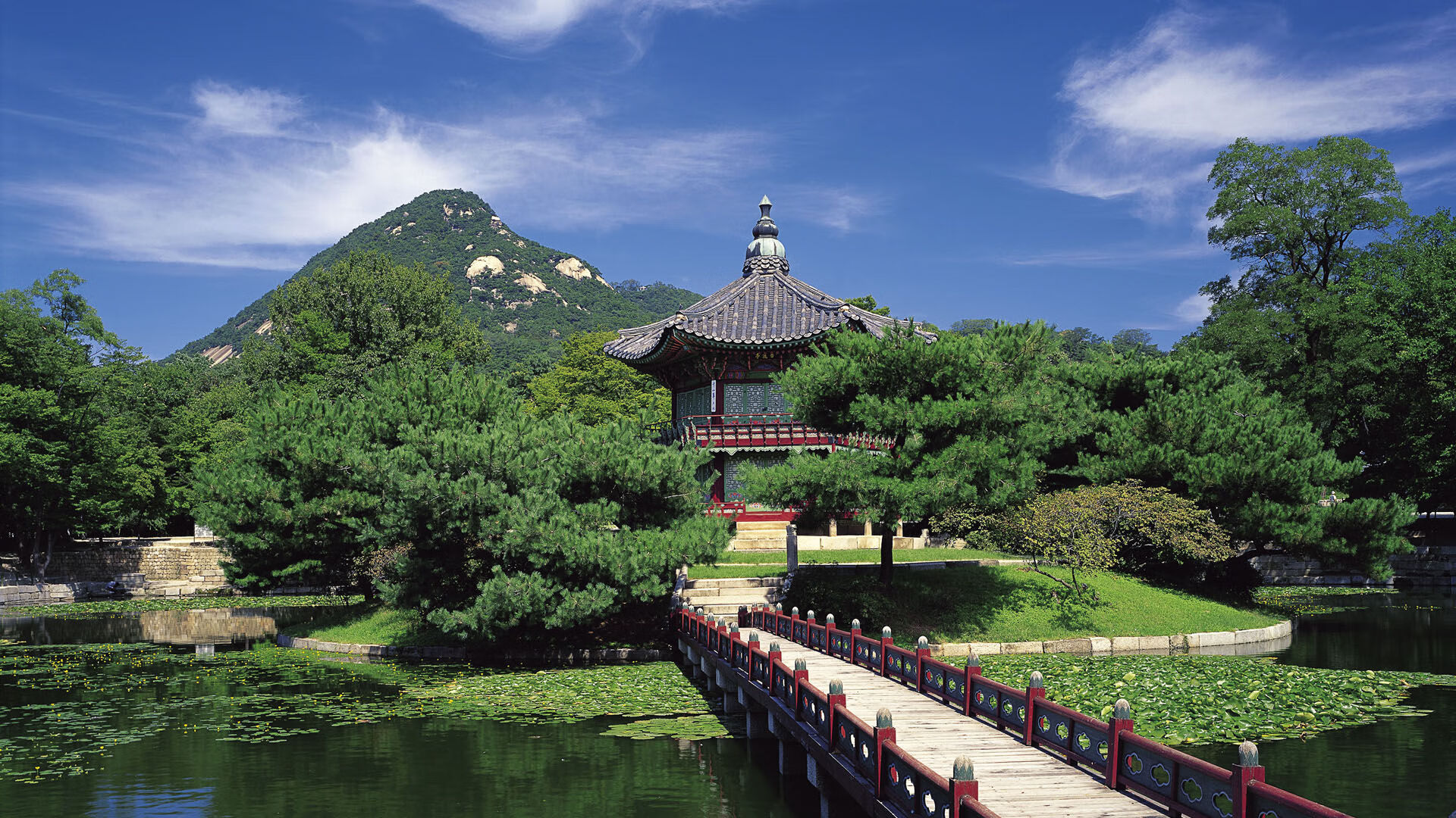 凛冬未尽,神射已至,克莱利箭穿透雄鹿铁幕