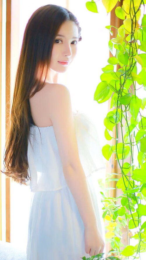 独奏与交响，东契奇的绝妙指挥与快船的团队和弦