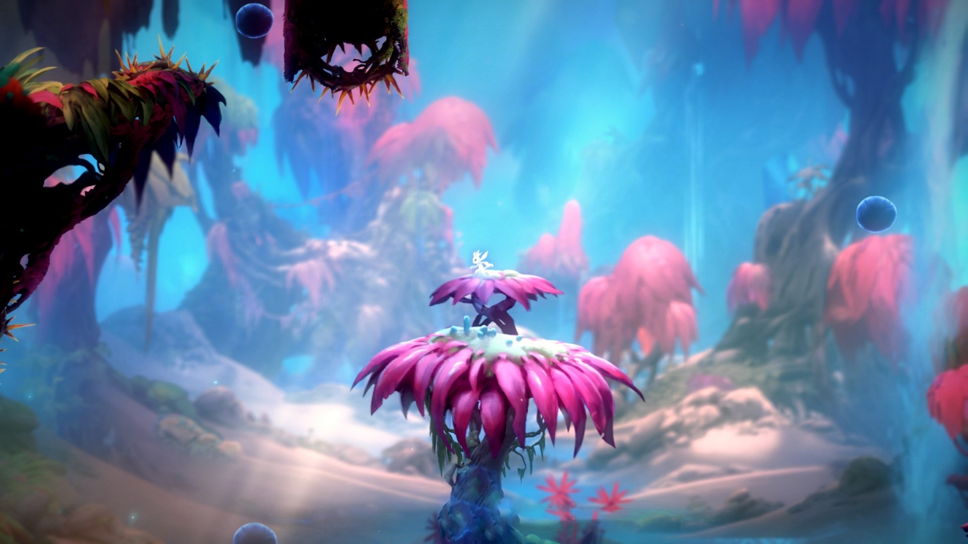 少年之肩，扛起星辰，加维在奥运关键战的破晓之战