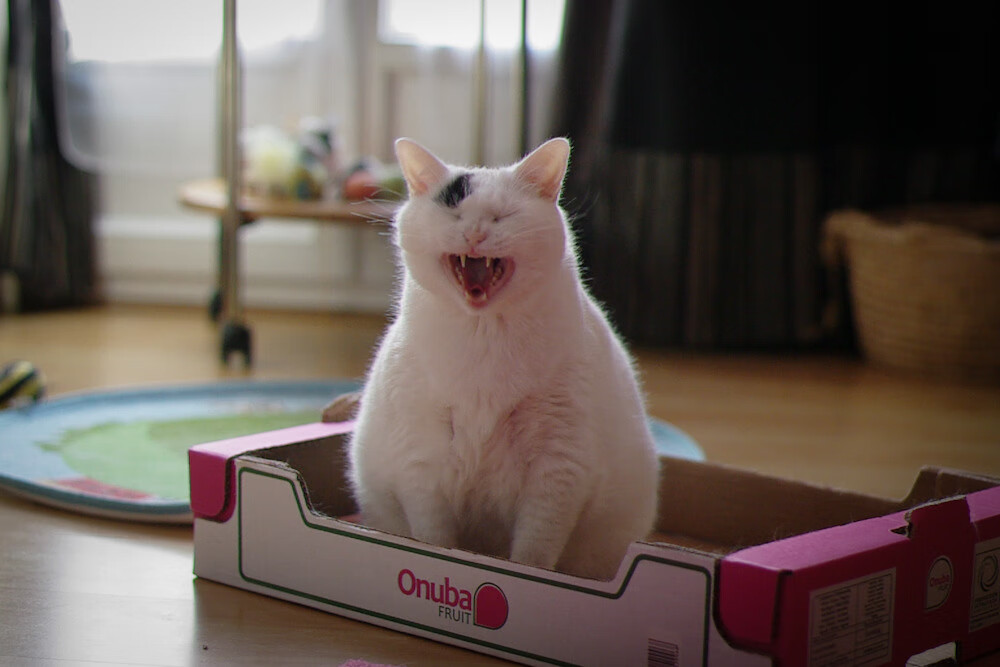 冰与火之战，詹姆斯独木难支，开拓者团队铁幕令骑士窒息