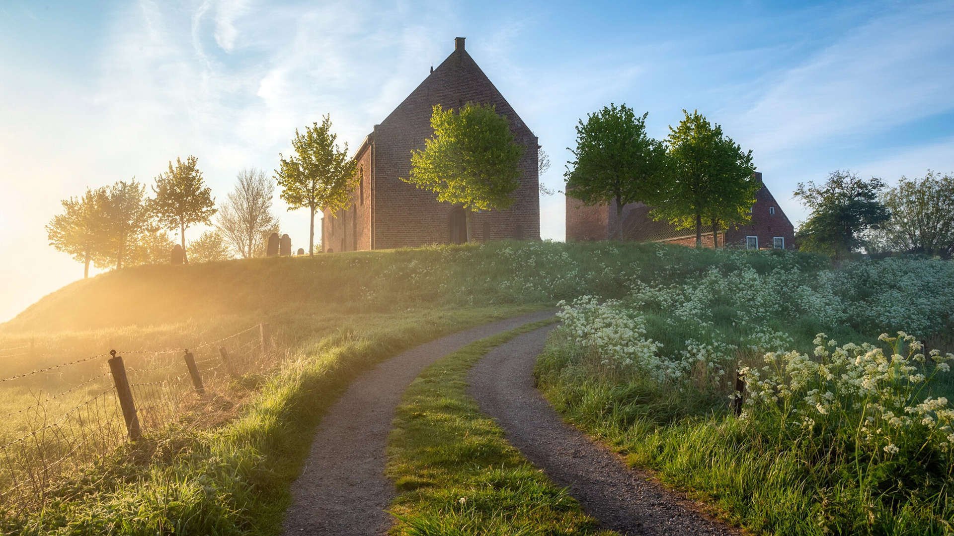 橄榄枝与石头，斯通斯破开新西兰神话的一夜