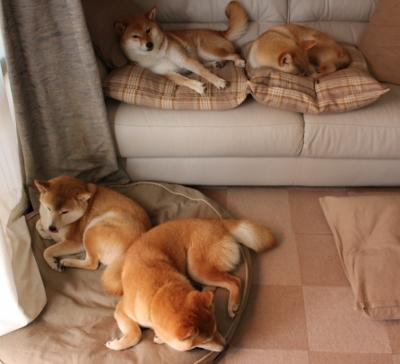 平行宇宙的哨响，当詹姆斯存在感拉满，辽宁队压哨击沉鹈鹕