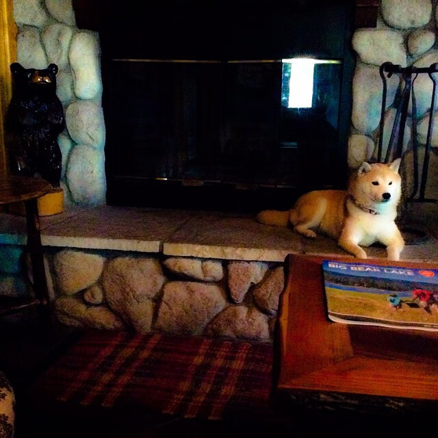 他才是真正的节奏大师！波兰奇阵唯一引擎，卡瓦哈尔破解亚特兰大迷局